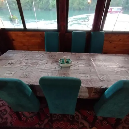 Apartament Drinska Carolija *
