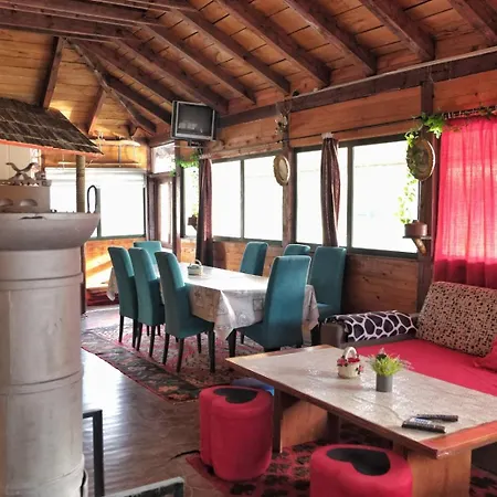 Drinska Carolija Lejlighed *