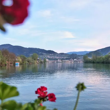 Drinska Carolija Apartamento *