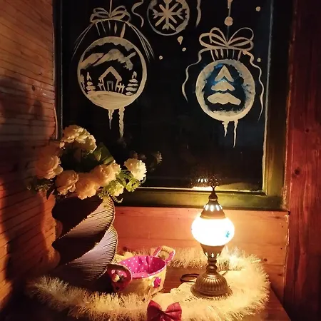 Drinska Carolija Apartamento